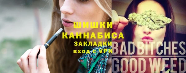 первитин Богородицк