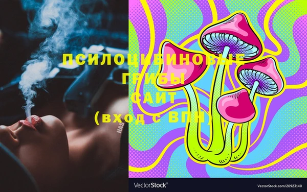 первитин Богородицк