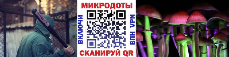 Галлюциногенные грибы Cubensis  Болхов 